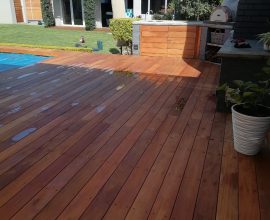 WhatsApp Image 2025-06-05 at 11.45.22